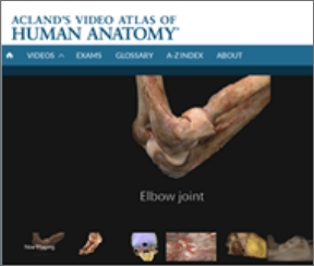 alumnos-saint-luke-biblioteca-acland