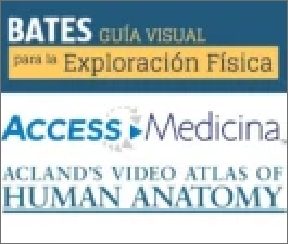 alumnos-saint-luke-biblioteca-virtual