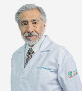 acerca-de-saint-luke-jose-luis-matamoros